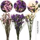 Dried Flowers Bundles Forget Me Not with Stems Natural Dried Flowers Purple Pink and White Preserved Dried Flowers Bouquet for Floral Arrangements Wedding Party DIY Resin Vase Home Decoration