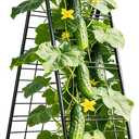 100% Metal Cucumber Trellis for Raised Bed,50"x17" A-Shape Garden Plant Support for Climbing Plants, Heavy Duty Metal Garden Trellises Plant Support for Vine Vegetables Outdoor (Black, 50"x17"(H*W))