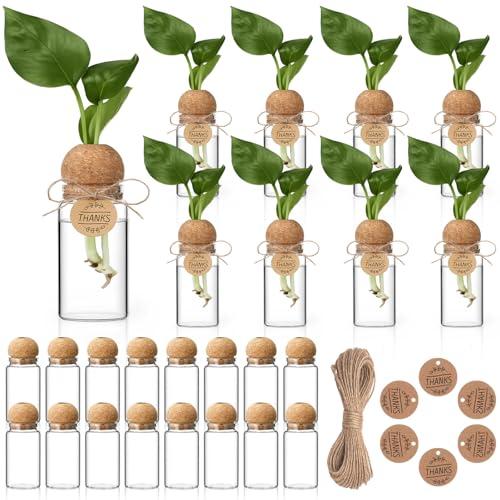 RimCereal 24 Pack 3.54'' Plant Propagation Stations 4 oz Glass Propagation Jars Planter Hydroponic Vase with Mushroom Hole Lid and Thank You Tags for Plant Lovers Office Home Garden