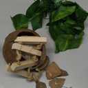 PINVNBY Crested Gecko Coco Hut with Ladder Natural Lizard Coconut Shell Hideout Home Mini Condo for Reptiles Durable Cave Habitat with Hanging Loop Coconut Texture Provide Food for Pets