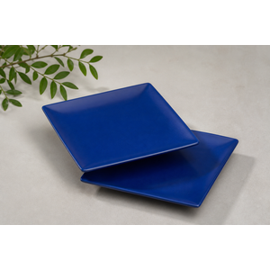 Smart Planet Navy Bamboo Fiber Dinner Plates