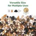 GreatBuddy 5-lb Pebbles for Indoor Plants, 3/8" Pea Gravel for Vases, Small Rocks for Succulents, Fish Tanks, Aquariums, Terrarium, Drainage Pebbles for Potted Plants, River Rocks for Landscaping