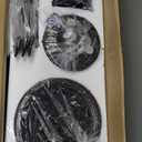 60 Inch Farmhouse Ceiling Fans with Lights and Remote,Black Industrial Caged Plug in Ceiling Fan with 6 Speeds and Reversible DC Motor,Double-Sided 6 Blades for Bedroom Living Room Garage