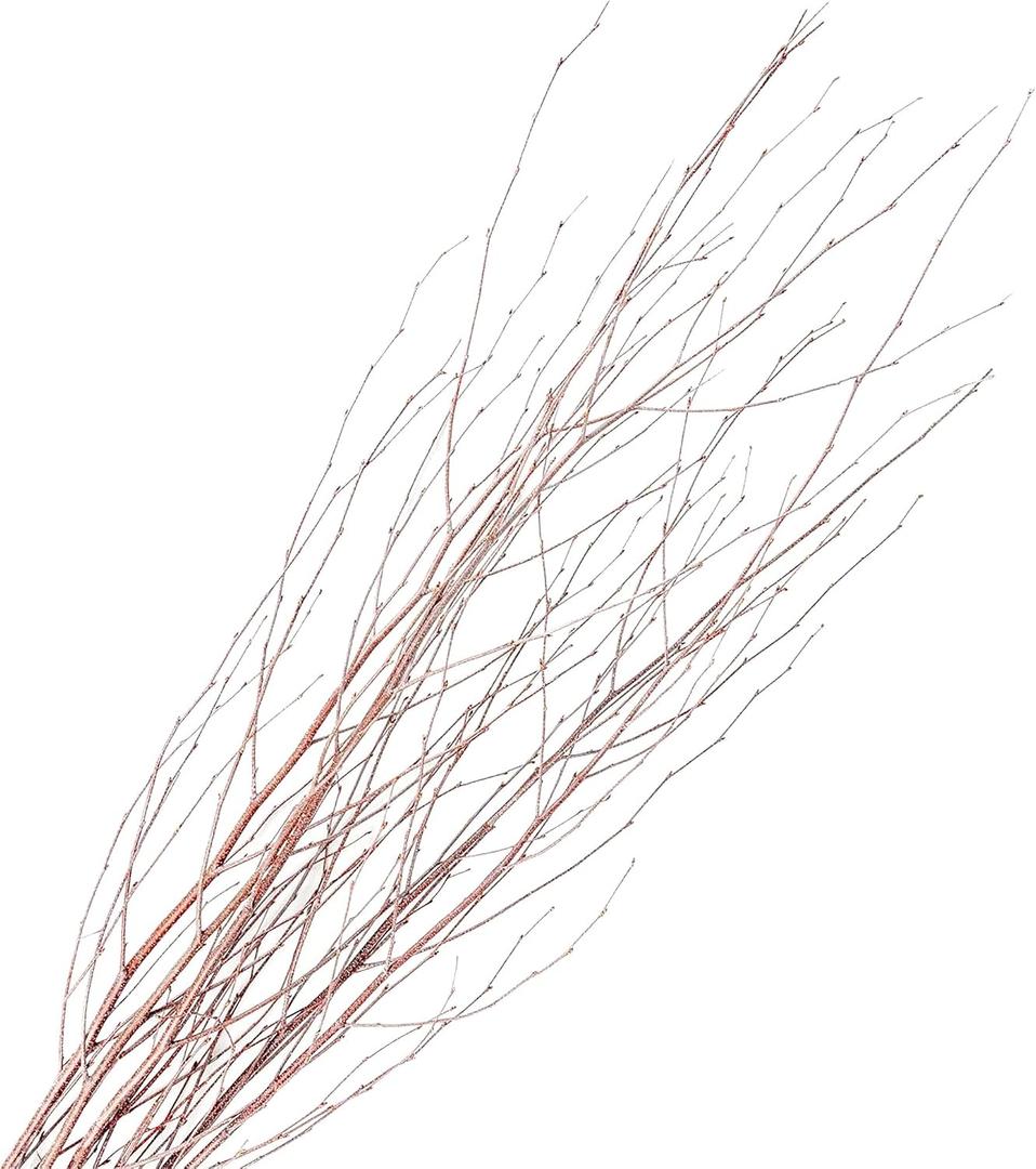 Branches for Vase, 3'4' Natural Birch Tree Branches for Decoration, Bundle of 10 Tall Decorative Sticks for Vases, Rustic Wood Branches for Crafts, Weddings, Seasonal Home Dcor - Natural