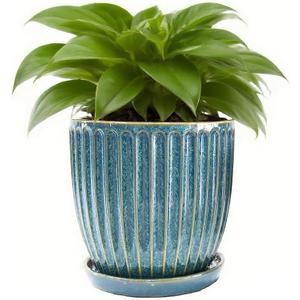 6 Inch Glaze Blue Ceramic Plant Pots with Drain Hole & Saucer, Flower Pots for Indoor/Outdoor Plants - Succulent, Snake Plant, Money Tree, Aloe Vera, Basil Planter