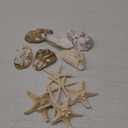 JQAQJU 3"-4" Sea Shells and Starfish 12PCS, Flat & Concave Large Oyster Shells for Crafts, Natural Beach Sea Shells for Crafting, Seashells for Crafting Home Decor Beach Party Wedding Fishtank DIY