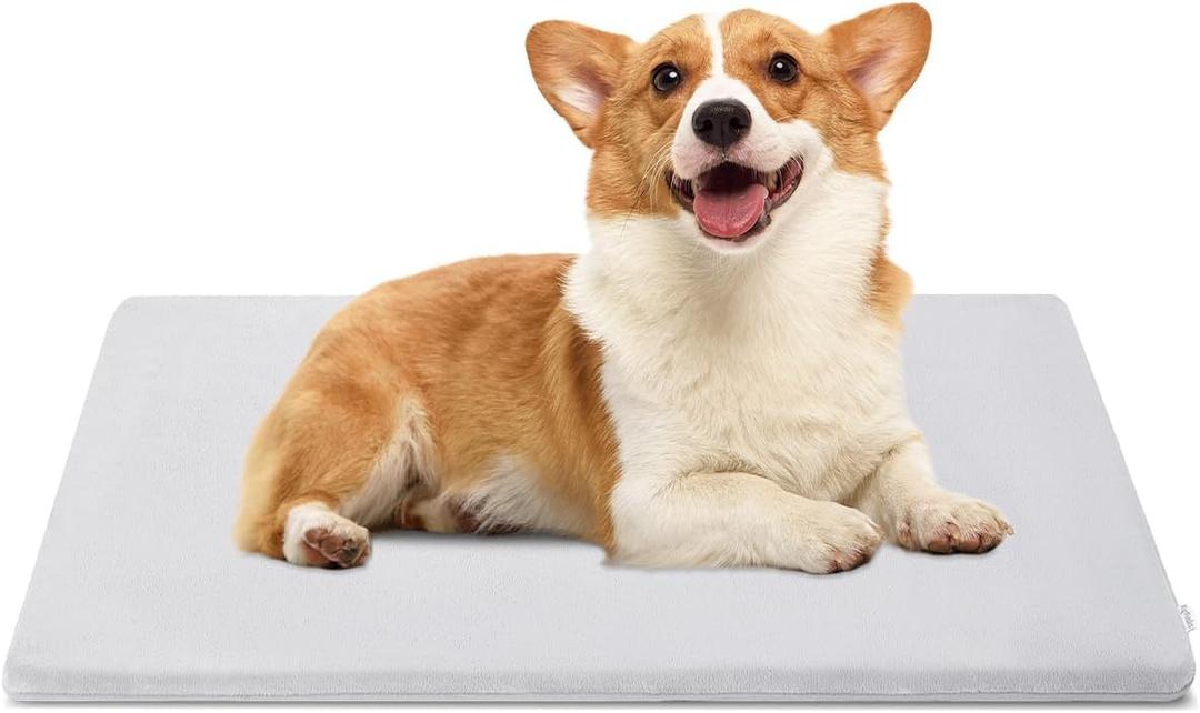 001SDog Bed Washable Mat High Resilience Foam Kennel Mat with Anti-Slip Bottom Soft Flannel Crate Pad for Small Medium, 29" x 21" Dog Cat Sleeping Floor Pad