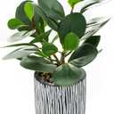 AlphaAcc Fake Plants Real Looking Greenery Artificial Plants Indoor Potted Plant with Rustic Black Clay Planter for Farmhouse Bathroom Bedroom Kitchen Office Table Decor 8"