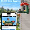 VISIOGEAR 2-in-1 Smart Wild Bird Feeder & Bath with 4K HD Camera, AI Identification Solar Bird Feeder Watching Camera Night Vision for Outdoor Birds Watching Gifts for Birdlover, Red & Green