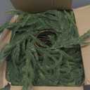 YouLiBaiLe Artificial Real Touch Deluxe Norfolk Pine Garland Christmas Garland for Mantle Garland Greenery Christmas Garlands 106''(1pcs)