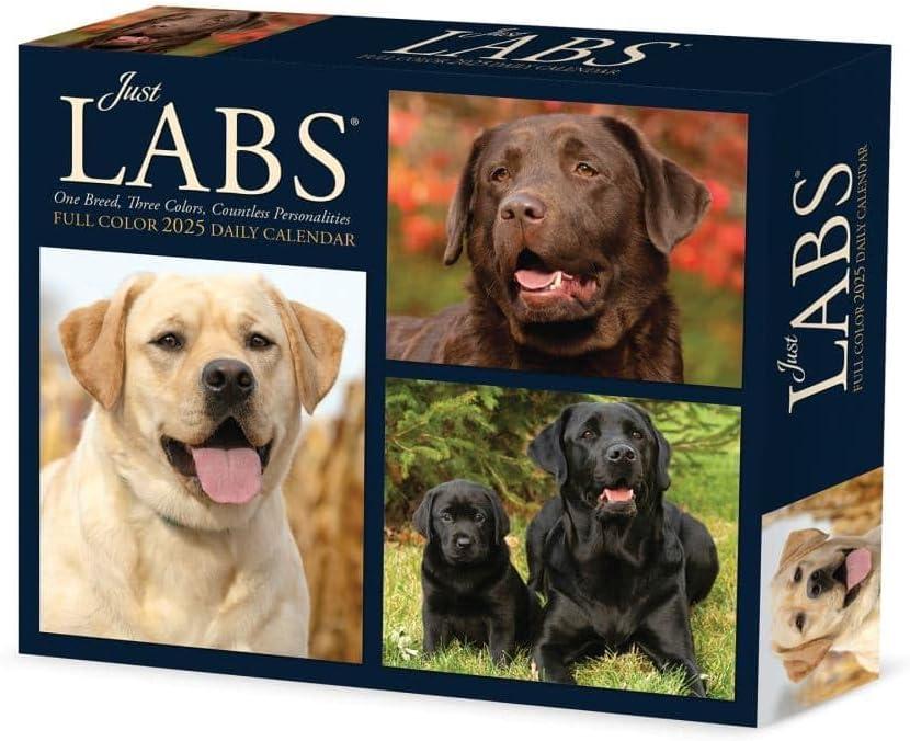 Labs 2025 6.2" x 5.4" Box Calendar