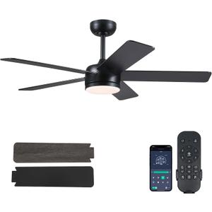 46" Black Ceiling Fans with Lights - Low Profile Ceiling Fan with Lights and Remote/APP, 5 Dual-Sided Blades, Reversible DC Motor, Modern Ceiling Fan for Indoor and Outdoor Use