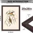 20x28 Picture Frame Walnut Brown with Black Back Board, Curved Extra Wide Edges, Wooden Vintage Style Poster Frame 20x28 for Wall Decor.