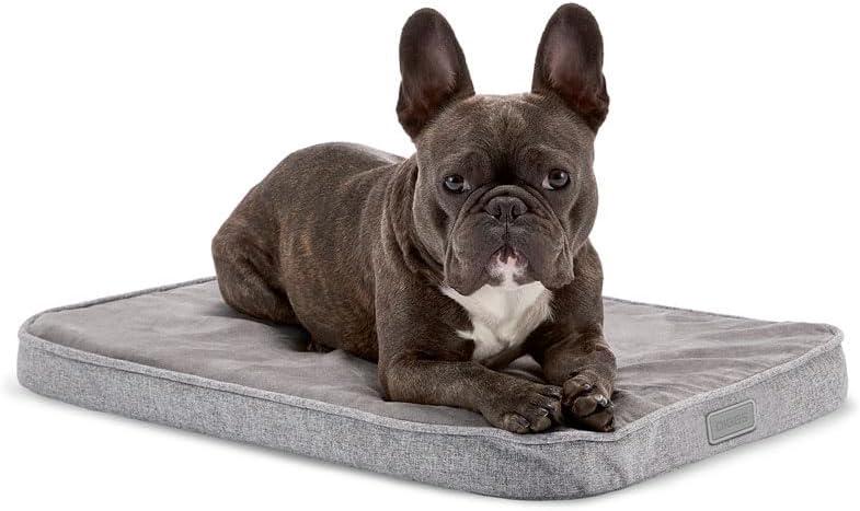 Diggs Snooz Memory Foam Dog Bed - Ideally Sized Revol Dog Crate Pad - Premium Orthopedic Pet Bed for Crate or Home - Grey, Small