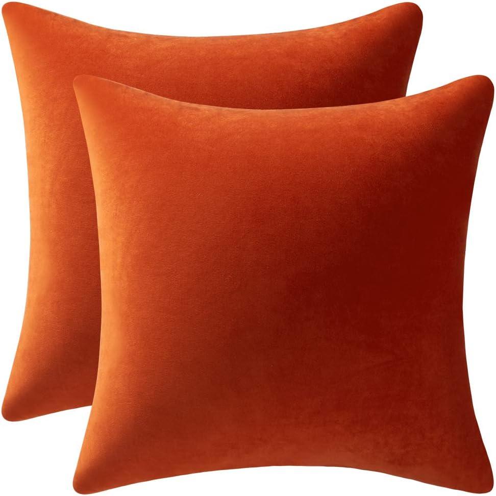 Throw Pillow Covers 16x16 Burnt Orange: Pack of 2 Cozy Soft Velvet Square Modern Luxury Decorative Throw Pillow Cases for Sofa Couch Living Room Bed Home Decor
