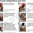 Chicken Diapers Duck Diaper Diaperalls for Hens, Roosters, Ducks, Ducklings - Reusable, Adjustable by Uni Infinity (Buffalo Plaid, Duck Small, 1, Count)