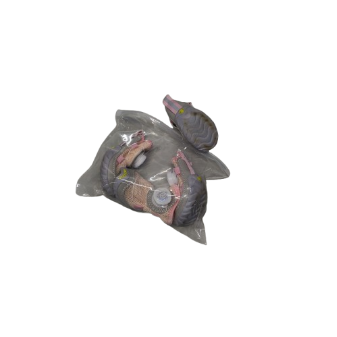 Paatata Knob Dog Shoes 6