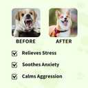 Calming Chews for Dogs - Natural Melatonin Pet Supplement Support Anxiety Relief Sleep Aid & Relaxation for Thunderstorms, Fireworks and Separation Vet Approved Soft Treats, Chicken Flavor 100 Chews