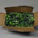 DearHouse Faux Eucalyptus Garland Plant, 2 Pack Artificial Vines Hanging Eucalyptus Leaves Greenery Garland for Wedding Backdrop Arch Wall Decor, 6 Feet/pcs UV Protected Indoor Outdoor