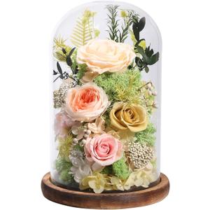 lovenfold Flowers for Delivery Preserved Flowers Rose in Glass Dome,Champagne Rose Forever Flowers Birthday Gifts for Women Mom Grandma Friend Gifts for Her,Home Decor