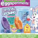 PAAS Eggsperiments Crystal Growing Easter Egg Science Kit – Fun & Educational STEAM Egg Decorating Kit with 4 Crystal Eggs, Dye Tablets, Beakers, and More Pack of 2