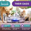Brook Glass Pet Fountain (90oz/2.7L) Cat & Dog Water Fountain Glass Cat Fountain & Automatic Water Dispenser for Drinking