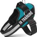 Essential Dog Harness with 3 Leash Clips - No-Pull, Adjustable, Comfortable Pet Vest Harness for Small to Large Dogs - Easy On, No Choke, Reflective, Padded Harness for Walking and Training (S(Neck:14-18",Chest:16-21"), Turquoise)