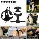 No Pull Dog Harness Adjustable Collar & Leash Set - Dog Halter Harnesses Collapsible Bowls & Poop Bag Dispenser Muzzle ID Tags Toys Fits Small Medium Large Dogs (Black-M)