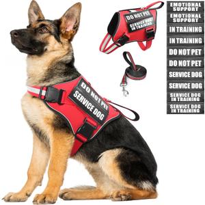 Service Dog Vest Harness and Leash Set+10 Patches,No Pull&Adjustable Reflective Dog Harness with Soft Padded Handle for Training/Everyday, Red, XL