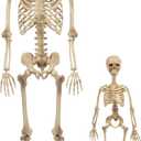 Life Size Posable Human Skeleton Halloween Decoration Value 2 Pack- Adult 5' 4" & Child 2' - Articulated Limbs Stay in Place, Weather Resistant Indoor/Outdoor- Upgrade Fall Haunted House Party Props