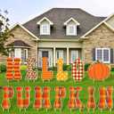 13 Pcs 12 Inches Hello Pumpkin Thanksgiving Yard Signs for Outdoor Lawn Decoration Waterproof Plastic Fall Pumpkin Yard Sign with Stake Pathway Autumn Garden Marker for Thanksgiving Party Decor