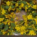 J'FLORU Artificial Spring Wreath 22 Inch Summer Wreaths for Front Door Yellow Daisy Wreath for Indoor Outdoor Home Decor and Easter Celebration