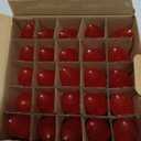 AJONIAM C9 Led Replacement Christmas Light Bulbs, 25-Pack C9 Shatterproof Led Bulbs with E17 Candelabra Base for Christmas String Lights, Waterproof & Dimmable Christmas Village Bulbs - Red