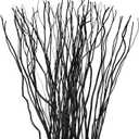 Xinnun 50 Pcs Curly Willow Branches Decorative Dried Willow Vase Filler Tree Branches for Artificial Twigs Sticks for DIY Crafts Home Decor(Black,15.75 Inch)