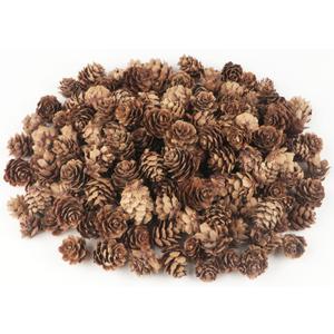 Jangostor 120 PCS Pine Cones Decorations, Natural Pine Cones Bulk - Mini Pine Cones Christmas Pine Cones for Table Christmas Tree Crafts Gifts Thanksgiving Fall and Xmas Home Decor