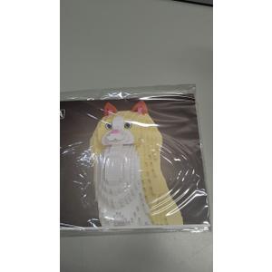 HONLANCH Animal Cat S... t for Adults and Kids