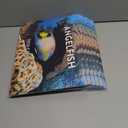10 x Angelfish Calendar 2026 Angel Fish Monthly Wall Calender 12 Month Tropical Fish Gifts | American Made In The USA