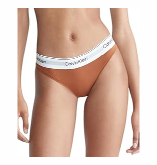 Calvin Klein Modern Cotton Stretch Bikini Panty (Large, Brown)