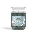 CANDLE-LITE, Lakeside Spruce Candle - 18 Ounce