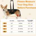 Vivifying Dog Lift Harness for Large Dogs, Soft Flannel Rear Leg Support Sling, Adjustable Dog Lifting Harness for Weak Back Legs, Senior Injured Disabled Dogs, ACL Surgery Mobility Assist, L, Gray