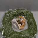 26" Norfolk Pine Wreath for Front Door, Artificial Christmas Wreaths Faux Green Fake Pine Needles Wreath for Front Door Wall Windows Indoor Outdoor Christmas Decor