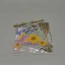 Kosiz Spring Flower Bulletin Board Decorations Set Great Minds Bloom Here Classroom Decorations Colorful Butterfly Rainbow Cloud Paper Cutouts with Floral Borders for School Chalkboard Wall Door Home