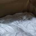 12 Pack White Table Cloths for 6ft Rectangle Tables, 60x102 Inch Tablecloth