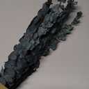 Eucalyptus for Shower 10 Pcs Hanging Dried Eucalyptu Stems 17" Real Eucalyptus Bundle 100% Made from Fresh Eucalyptu Wedding Decor Home Decor Farmhouse Room Decor DIY Artificial Plants Flowers