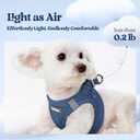 rabbitgoo Dog Harness Small Sized and Leash Set, Step in Soft Light Puppy Vest, Breathable Mesh Pet Harness, Reflective for Safe Outdoor Walking, Navy Blue, M