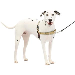PetSafe Easy Walk Harness for Dogs - Pull-Free Walks - Patented Martingale Loop Design - Front Chest Leash Attachment - Comfort Straps - Breathable Harness Design - Medium/Large, Fawn