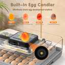 Incubators for Hatching Eggs Egg Incubator for Lab Home Farm with Automatic Egg Turning for Chicken, Ducks, Goose, Quail 48 Eggs