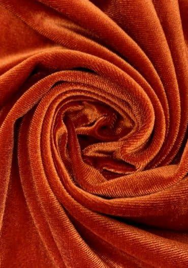 Premium Stretch Velvet Fabric by The Yard - Wrinkle-Resistant - Soft - Upholstery Fabric - Polyester Spandex Blend - for Clothing and Crafts - Resistant  58-60 Inches Wide (Burnt Orange, 1 Yard)