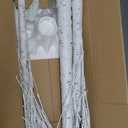 6FT Lighted Birch Tree with 144 LED Lights, Artificial Light Up Tree, Decorative Light Trees for Indoor Home Decor, Wedding Party, Christmas Holiday Floor Lamp