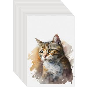 100PCS 9x6 Watercolor Paper Bulk, 140lb/300g Cold Press Thick Water Color Paper Pad for Kid Child Adult, White Art Paper for Drawing Painting Markers Gouache, Textured Cotton Paper Sheets 100PCS 9x6 Watercolor Paper Bulk, 140lb/300g Cold Press Thick Water Color Paper Pad for Kid Child Adult, White Art Paper for Drawing Painting Markers Gouache, Textured Cotton Paper Sheets